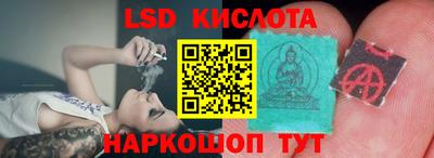 мяу мяу мука Будённовск