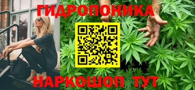 мяу мяу мука Будённовск