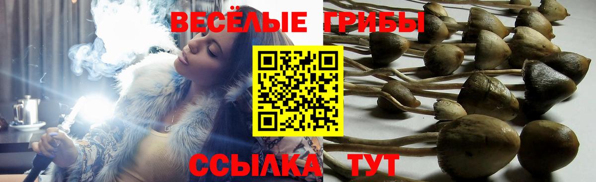 Родники  Псилоцибиновые грибы Psilocybine cubensis  Вход с VPN  Псилоцибиновые грибы мицелий 